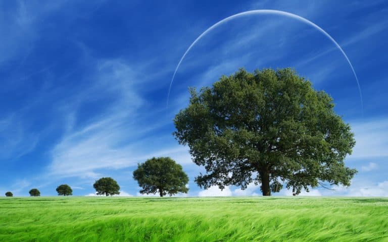 5 Ways to Cope with the Highly Driven, Fast-Paced Life in Silicon Valley